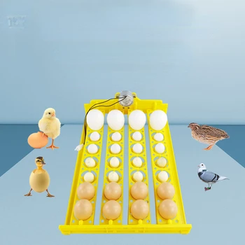 32 лотка для яиц, автоматический переворачивающийся инкубатор, бытовые маленькие лотки для яиц, курица, утка, лотки для птичьих яиц, аксессуары для инкубатора