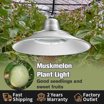 50 Вт СВЕТОДИОДНАЯ лампа для выращивания мускусной дыни с усилением красного и синего света для продвижения цветов green house