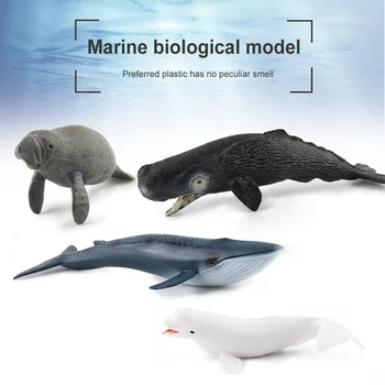 Игрушка для морских животных большого размера, Мягкие резиновые Имитационные модели, Игрушки, Коллекция китовых украшений, Развивающие игрушки, Игрушки для школьных проектов